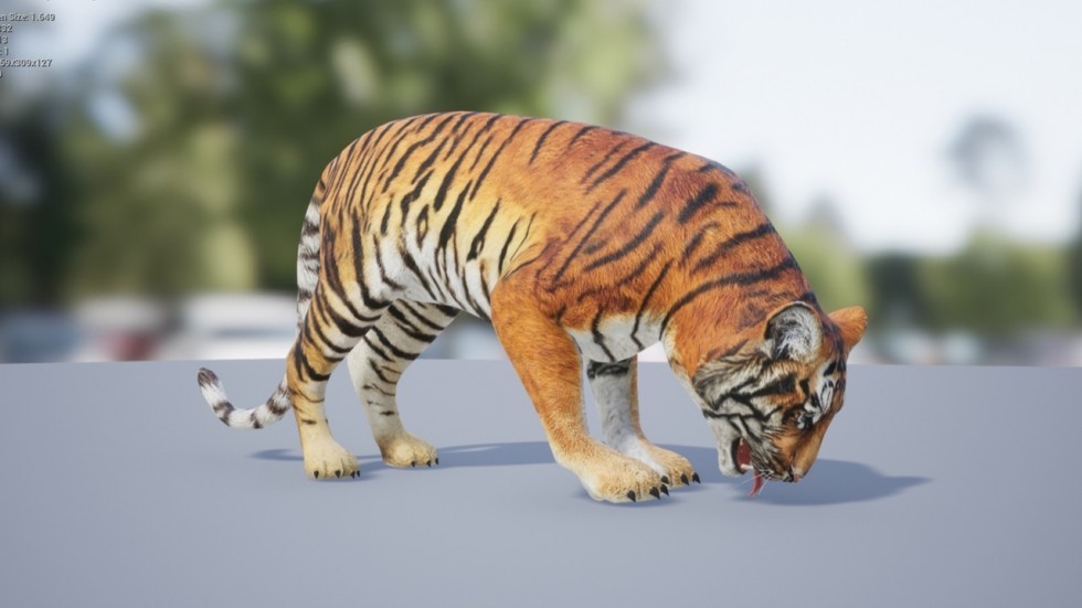 UE4虚幻5 Medhue Tiger 3D老虎猛虎模型角色带动画