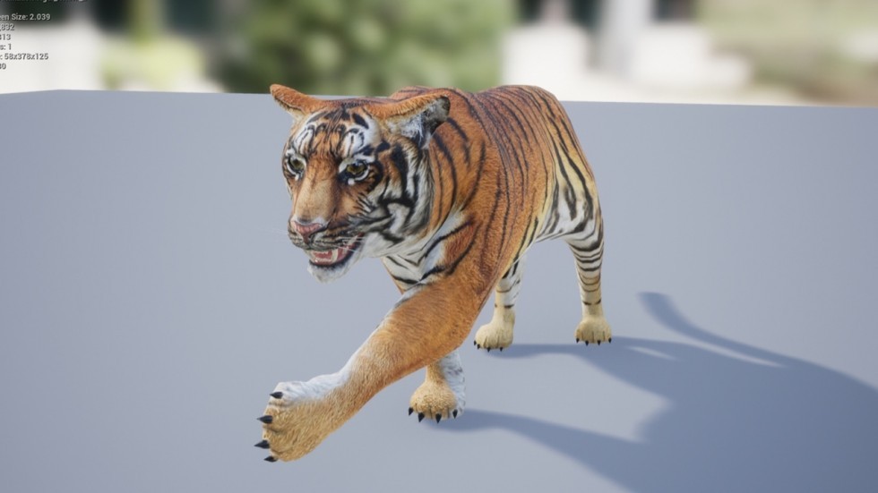 UE4虚幻5 Medhue Tiger 3D老虎猛虎模型角色带动画