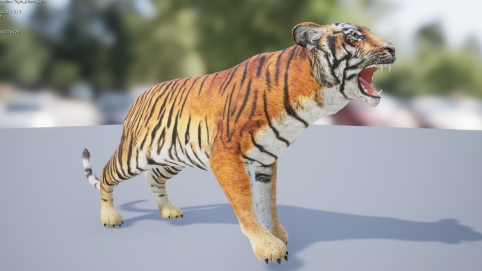 UE4虚幻5 Medhue Tiger 3D老虎猛虎模型角色带动画