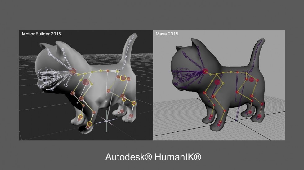 UE4虚幻5 Cute Kitten 可爱卡通猫咪小猫角色模型带动画