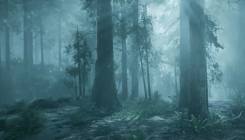 UE4虚幻5 The Forest 写实迷雾森林树木游戏场景