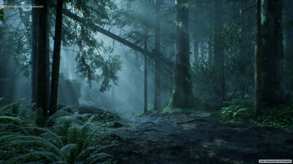 UE4虚幻5 The Forest 写实迷雾森林树木游戏场景