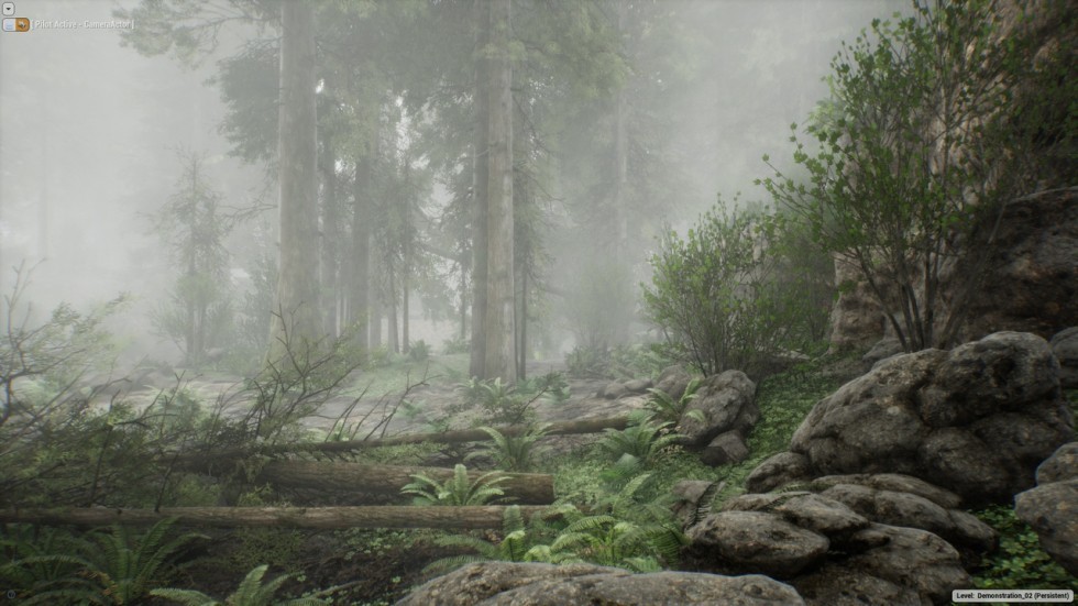 UE4虚幻5 The Forest 写实迷雾森林树木游戏场景