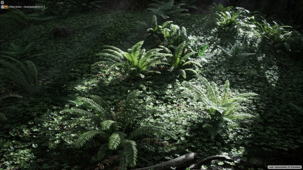 UE4虚幻5 The Forest 写实迷雾森林树木游戏场景