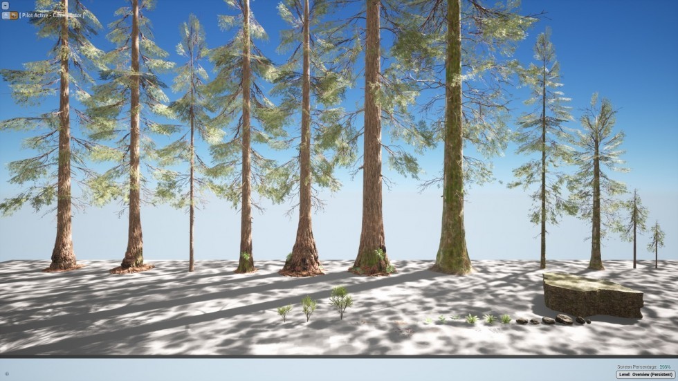 UE4虚幻5 The Forest 写实迷雾森林树木游戏场景