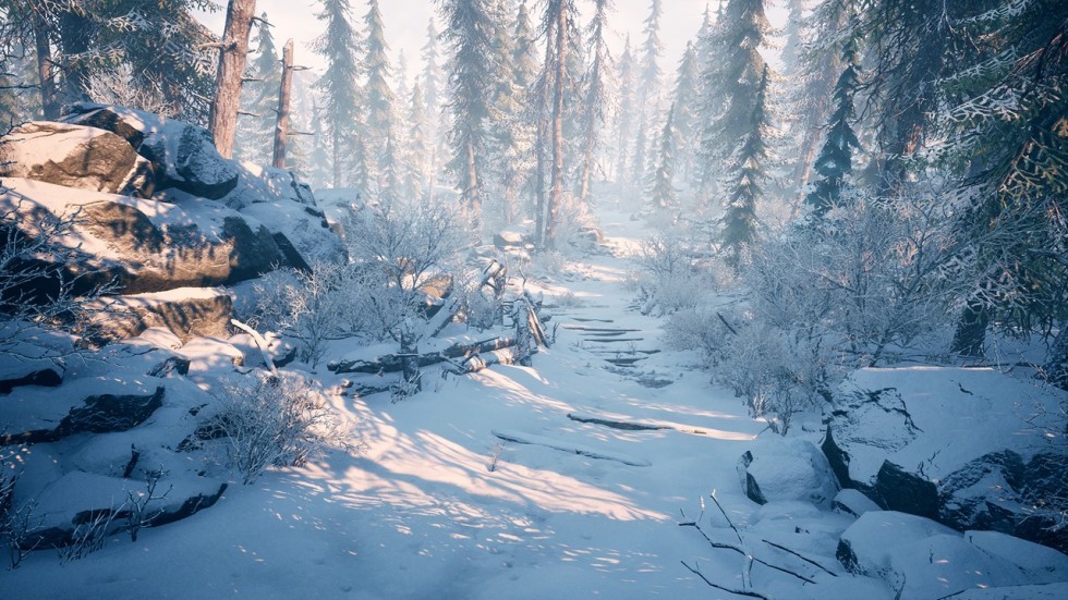 冬季自然雪景场景