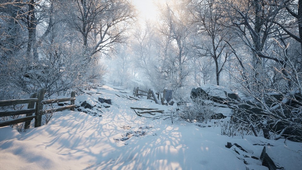 冬季自然雪景场景