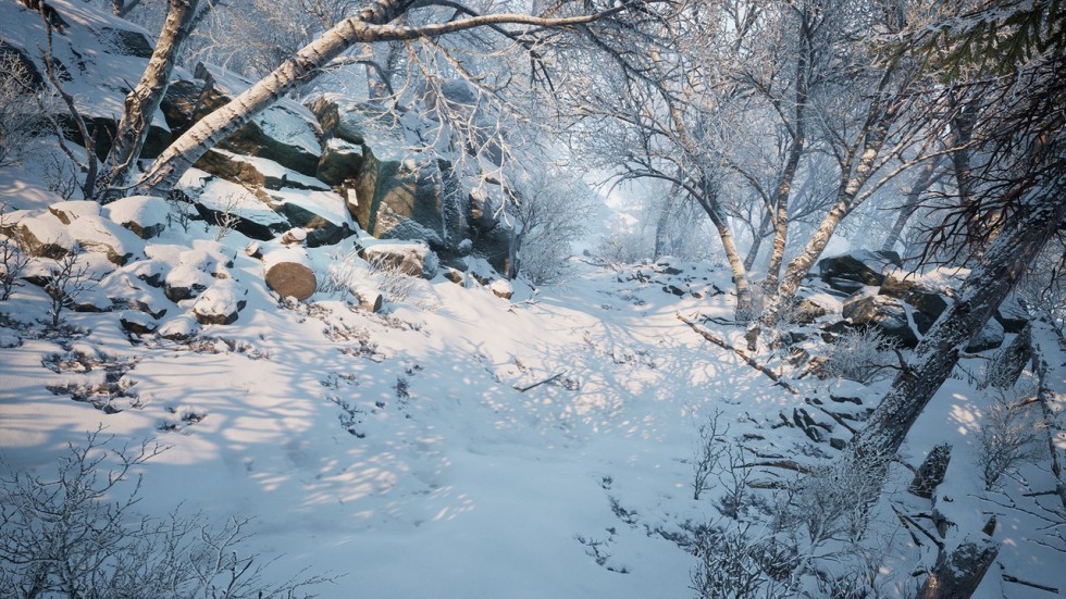 冬季自然雪景场景