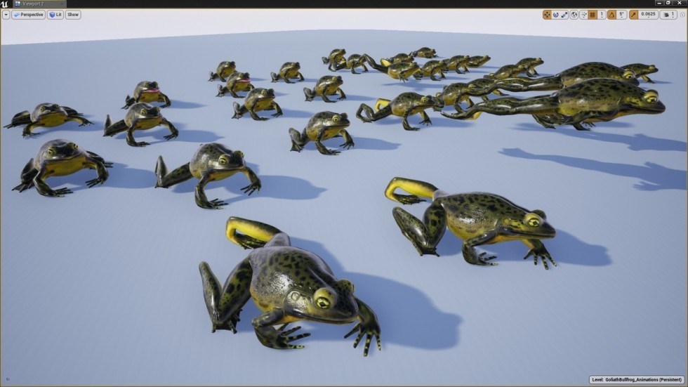 UE4虚幻5 Animated Bullfrogs Volume 1 牛蛙青蛙动画模型