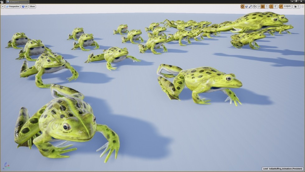 UE4虚幻5 Animated Bullfrogs Volume 1 牛蛙青蛙动画模型