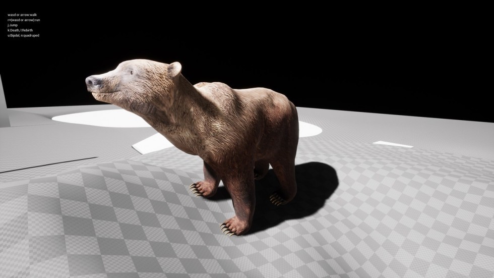 UE4虚幻5 Bears pack 北极熊棕熊合集动物角色带动画