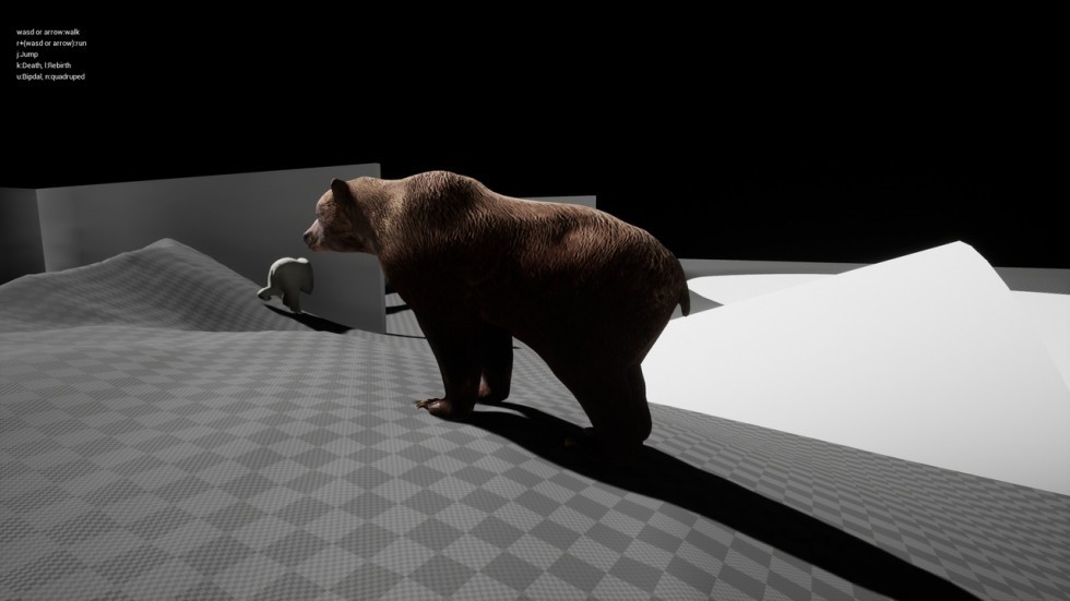 UE4虚幻5 Bears pack 北极熊棕熊合集动物角色带动画