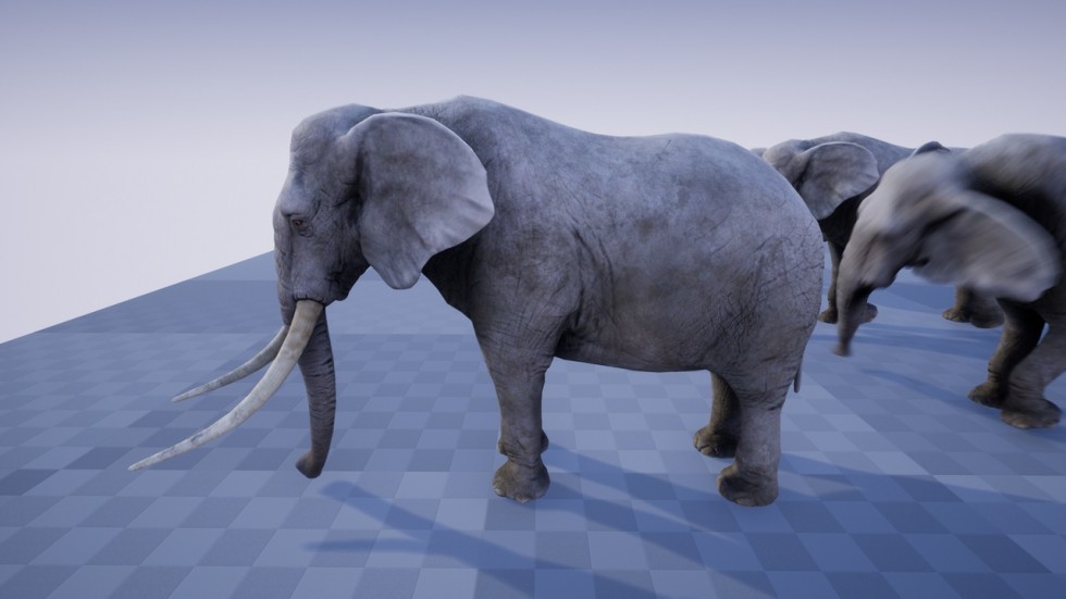 UE4虚幻5 ELEPHANT 非洲草原野生大象动物游戏角色含动画