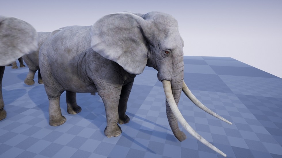 UE4虚幻5 ELEPHANT 非洲草原野生大象动物游戏角色含动画