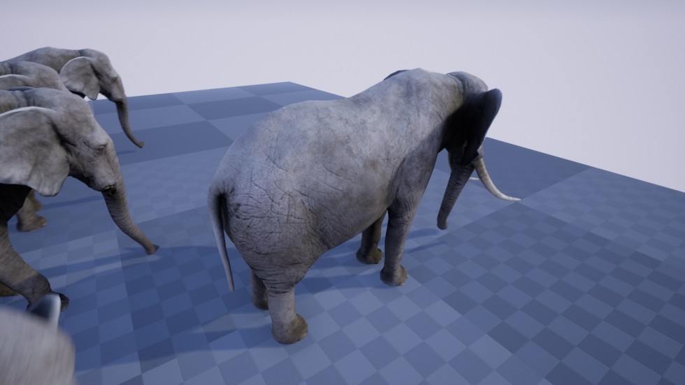 UE4虚幻5 ELEPHANT 非洲草原野生大象动物游戏角色含动画
