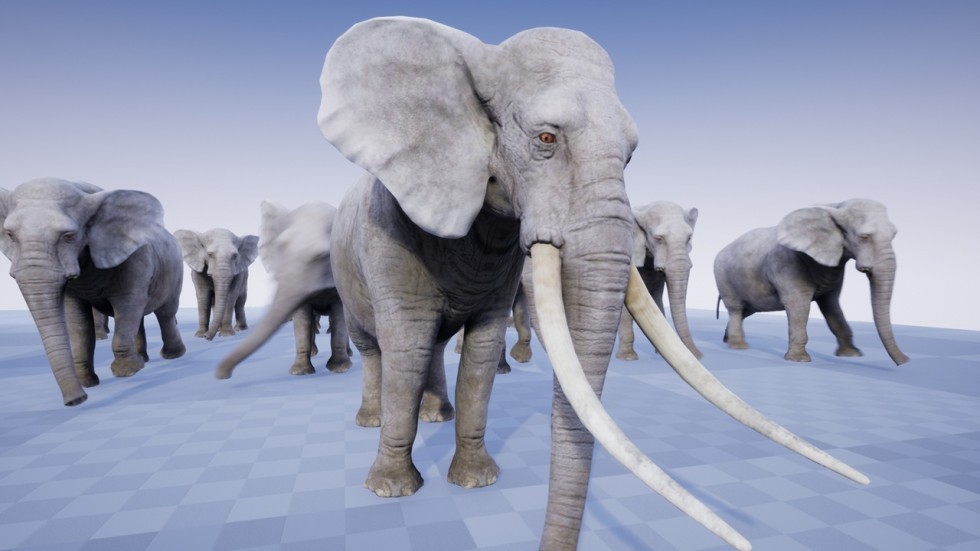 UE4虚幻5 ELEPHANT 非洲草原野生大象动物游戏角色含动画