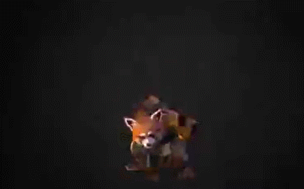 可爱的小浣熊maya&blender