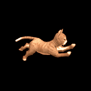 1.gif